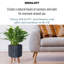 Modern Ribbed Cylinder Round Planter with Feet-2118313558-2118313555