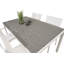 Hiran 4 - Person Patio Dining Set Rectangular Table