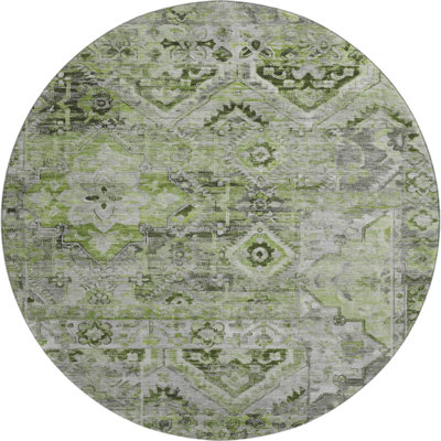 Premium Machine Washable Varasteh AMF1664 Global Rug