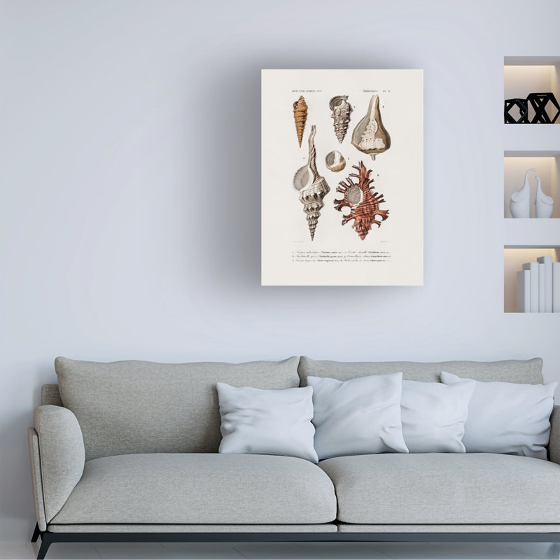 Art sur toile «Bachelor Charles Dessalines D Sealife II», H 19 po x l 14 po
