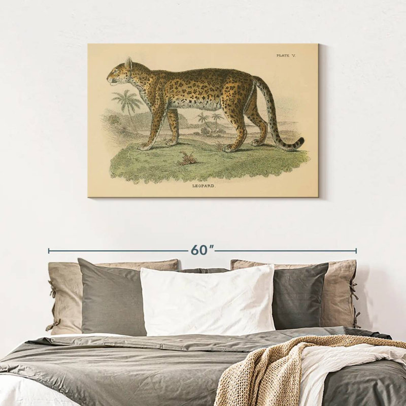 Brampt Graceful Vintage Leopard, 30" H x 45" W