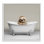 «Happy Sloth In Bathaign» encadré sur bois par Roozbeh