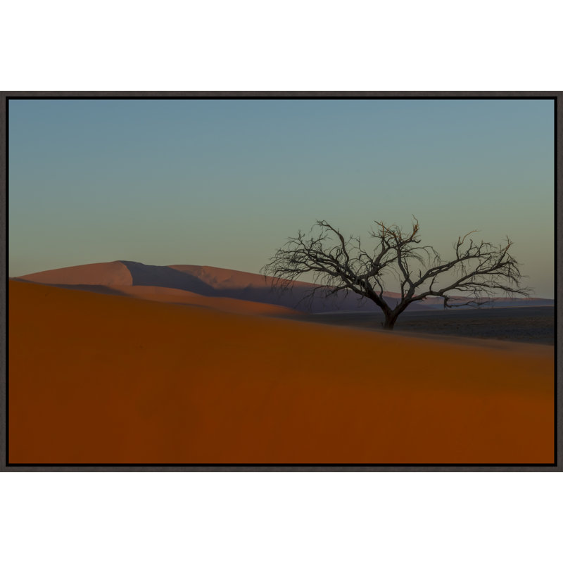 «Désert du matin de la Namibie» par Richard Silver - photographie sur toile, H 31,75 po x l 46,75 po, Image au gel brossé