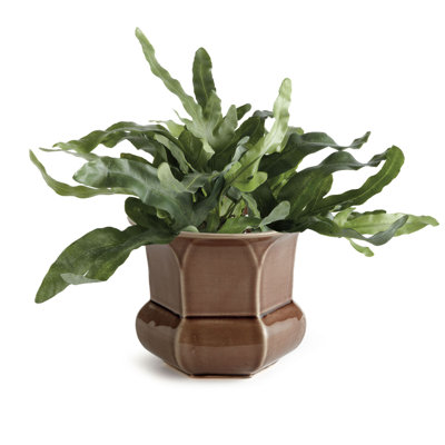 Handmade Ceramic Pot Planter