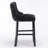 Contemporary Leisure Barstools