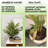 36'' Faux Palm Tree in Pot