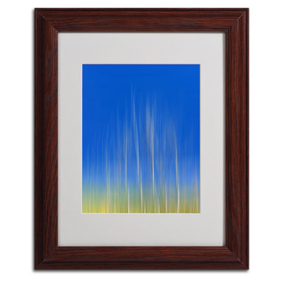 « vertical activity » par philippe sainte-laudy,, impression encadrée