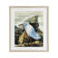 «Rocky Perch Coastal Cliff Bird», reproduction encadrée sous verre, conception de John Rossini-1424483236-1424483242
