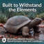 Statue de tortue Martinez-Wilson