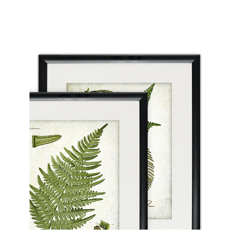 " Vintage Botanical Sketch VII " 2 - Pieces Painting Print, Black Framed 