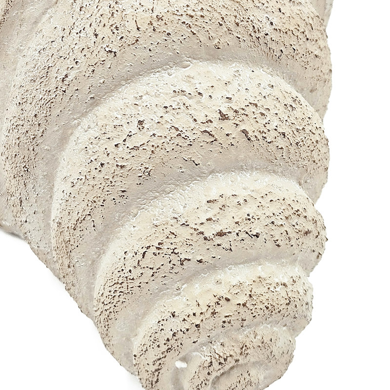 11.5X7x7 Inches Sand And Cement Shell Planter To Bring A Coastal Atmosphere Your Lounge