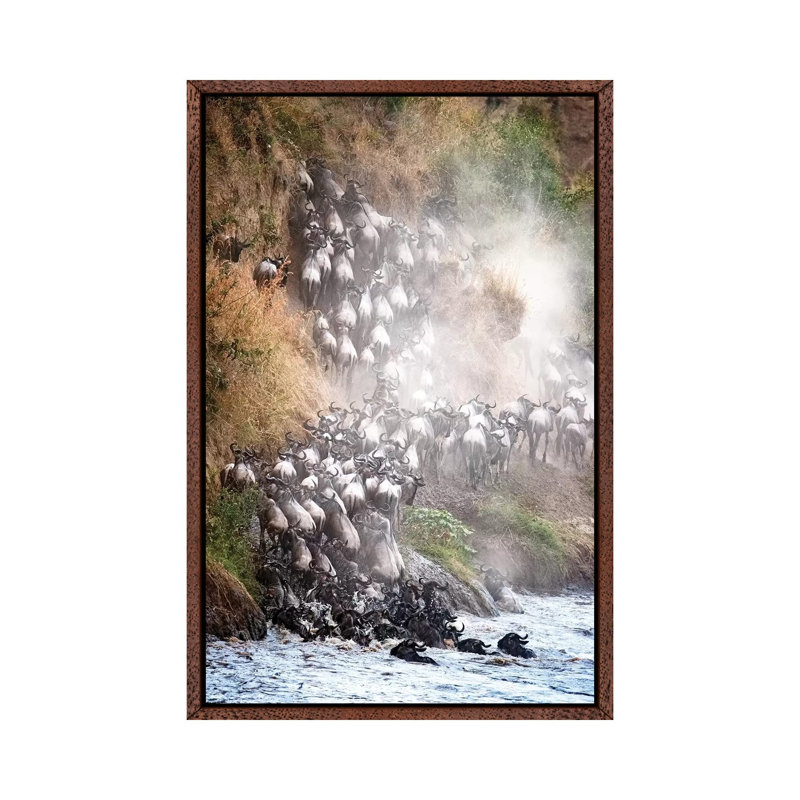 Wildebeest Climbing Up Mara River Bank by Susan Richey - Gallery-Wrapped Canvas Giclée on Canvas, 66.04 cm H x 45.72 cm W