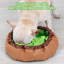 Tapis interactif pour animaux-119701754