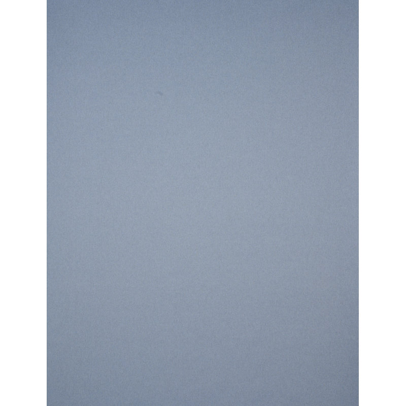 Albert Performance Cotton Fabric, Sky