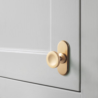1.2" Diameter Circle Knob With Backplate(G021)