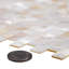 11" x 12" Seashell Linear Mosaic Wall & Floor Tile
