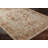 Oriental Indoor Rug-70362648