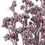 13'' Branch-115063896