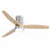 Jovonte 52'' Ceiling Fan with LED Lights