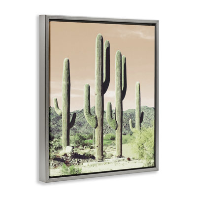«Sunrise Cactus Scene», art mural encadré par Susan Bryant