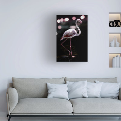 «Dancing Flamingo» par Clint