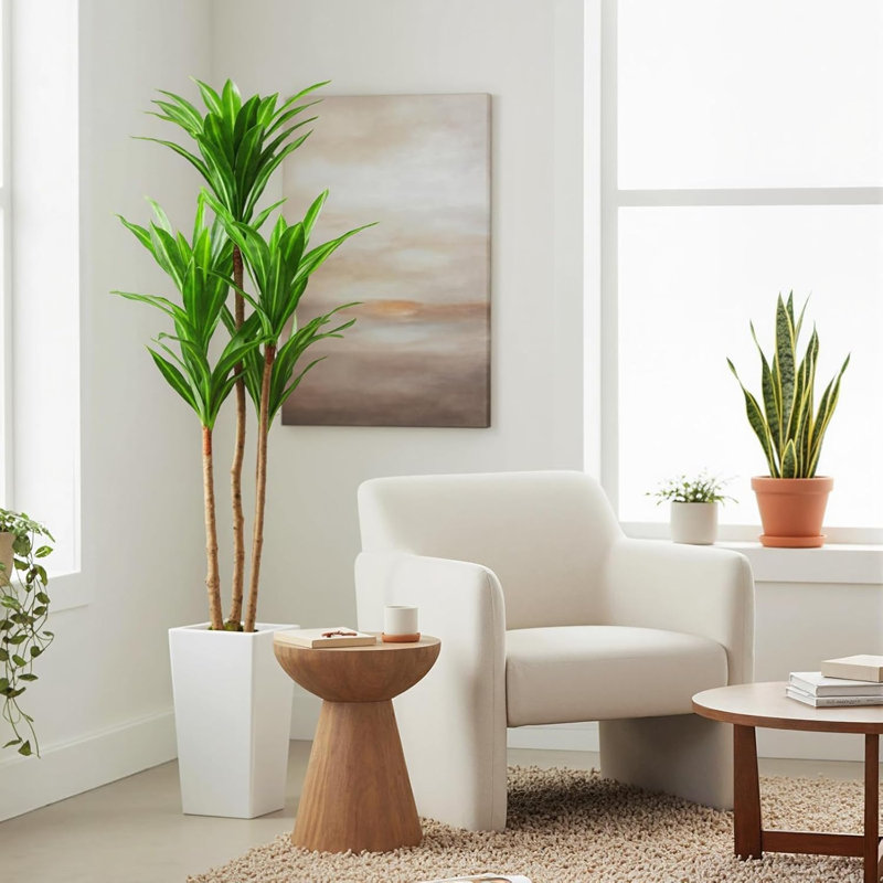 147cm Plant