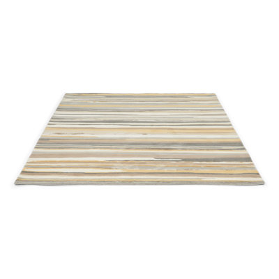 Striped Area Rug