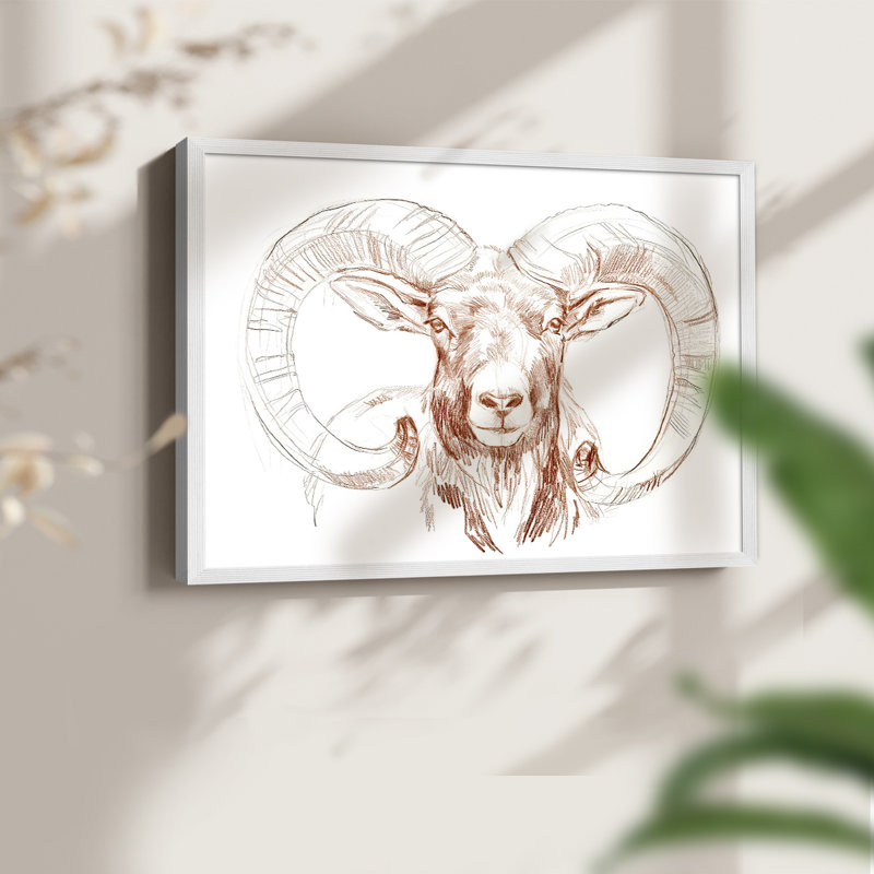 Big Horn Sheep I -Framed Print - Restickable, 11" H x 14" W, White