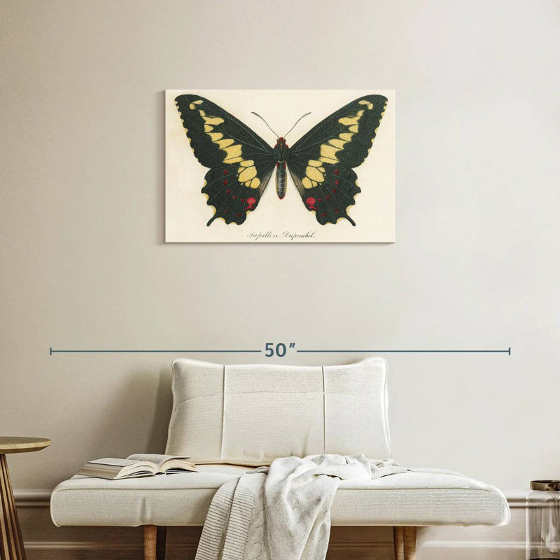 Brampt Natures Butterfly VI, H 20 po x l 30 po