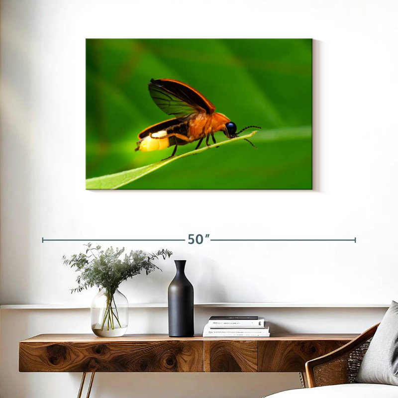 Brampt Firefly