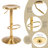 Engman Swivel Adjustable Height Counter Stool with Metal Frame-621097742