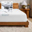 Drap-housse en flanelle de coton-265507585-265507584