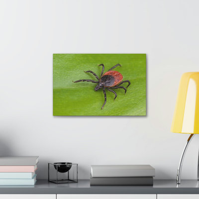 Majestic Tick Art Majestic Tick Print Animal Wall Art