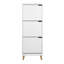 Perao 12 Pair Shoe Storage Cabinet