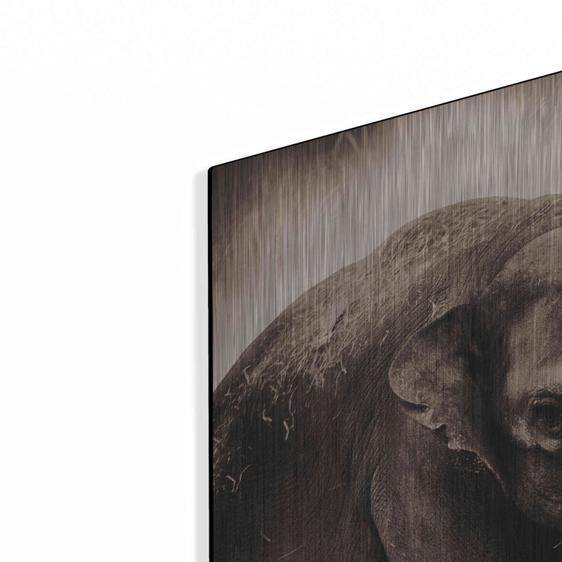 Ebern Designs «Elephant III sépia» par Debra Van Swearingen, art mural en métal, H 36 po x l 36 po