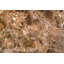 Emperador 18 in. x 18 in. Polished Marble Tile