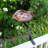 Dara Knot Birdbath with Rail Mount Bracket
