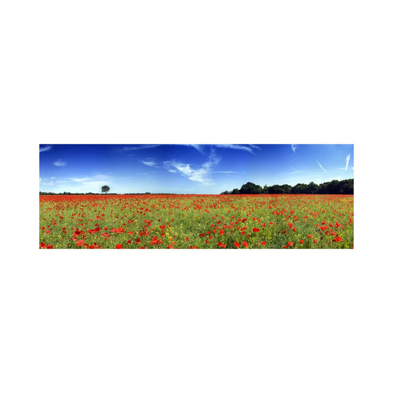 Poppies in a Field, Norfolk, England 1 Piece Wrapped Canvas Panoramic Wall Art, 121.92 cm H x 40.64 cm W x 1.91 cm D