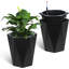 Pot Planter-685284878