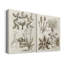 Revue botanique sépia VI - Toile tendue avec châssis de qualité supérieure - Prêt à être accroché-1259814305