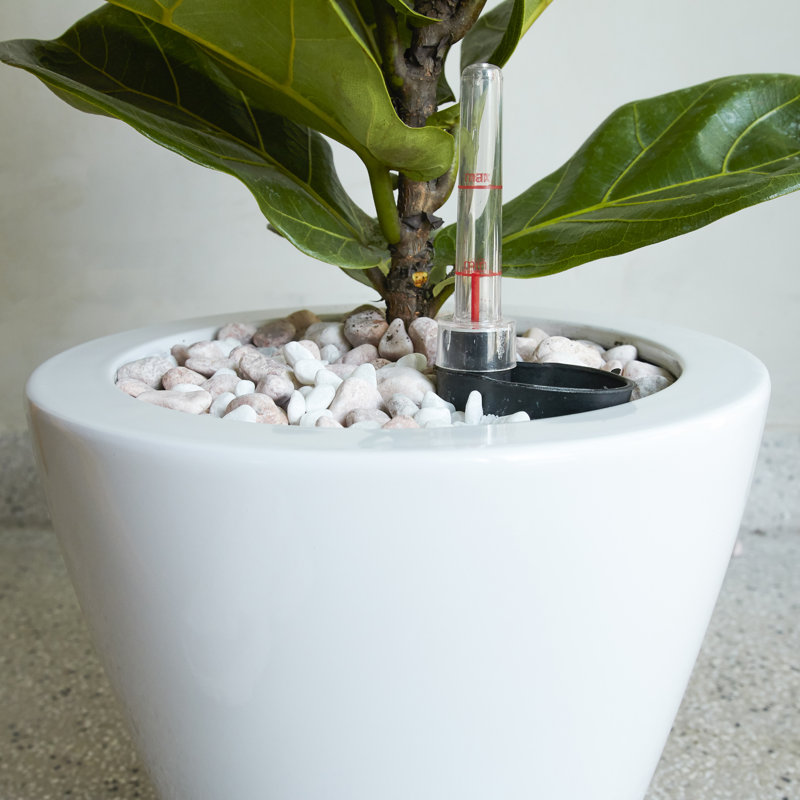 Pot à fleurs intelligent à arrosage automatique pour tous les environnements, améliorant l'expérience de jardinage, Blanc