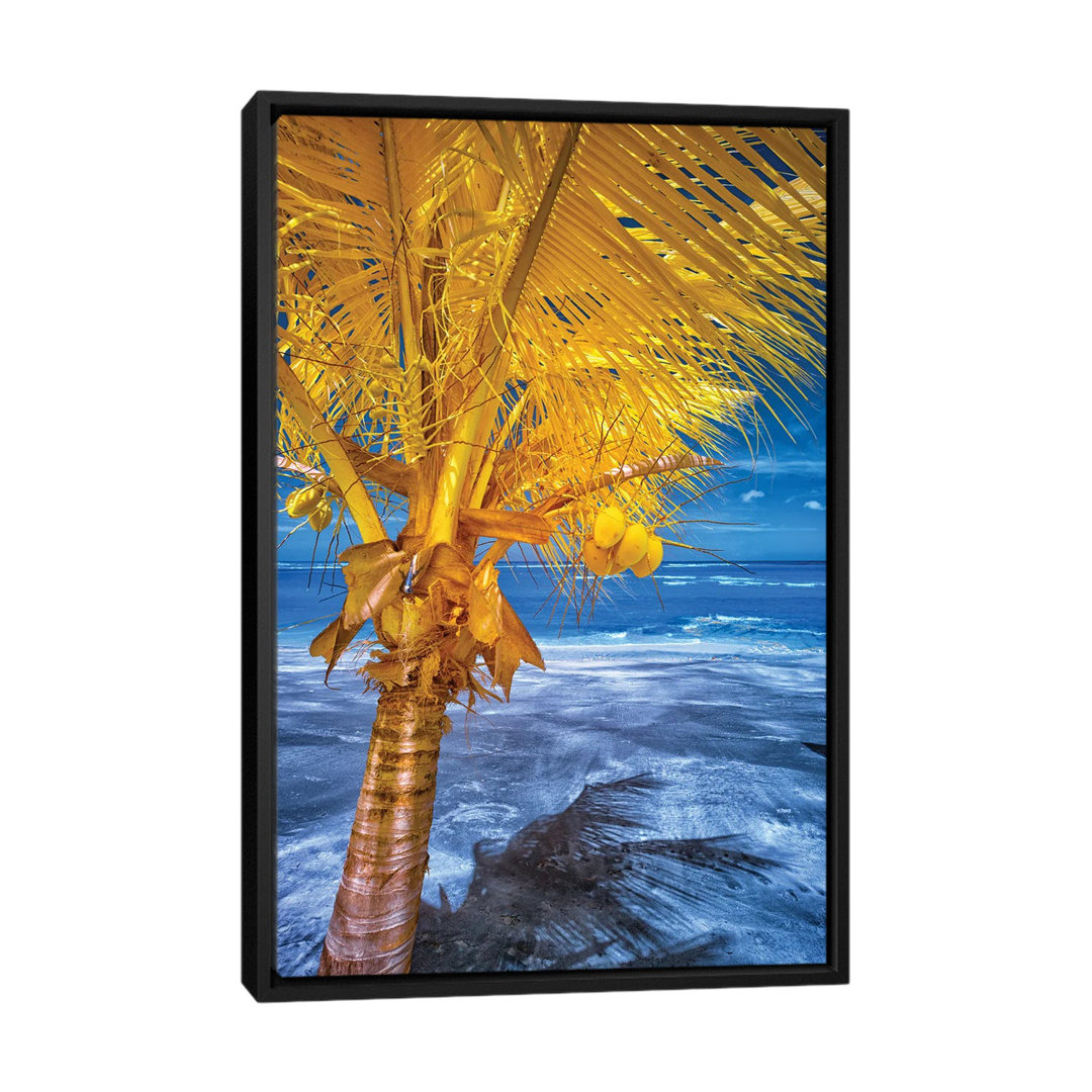 The Lizard On Tropical Palm Tree #1 by Glauco Meneghelli - Floater Frame Print on Canvas