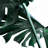 Monstera deliciosa - 16"x16" Throw pillow - Poly twill - Print on demand-74367901-74367902