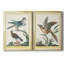 «Pastel Birds III», ensemble de 2 peintures sur toile encadrées-208302845-208302832