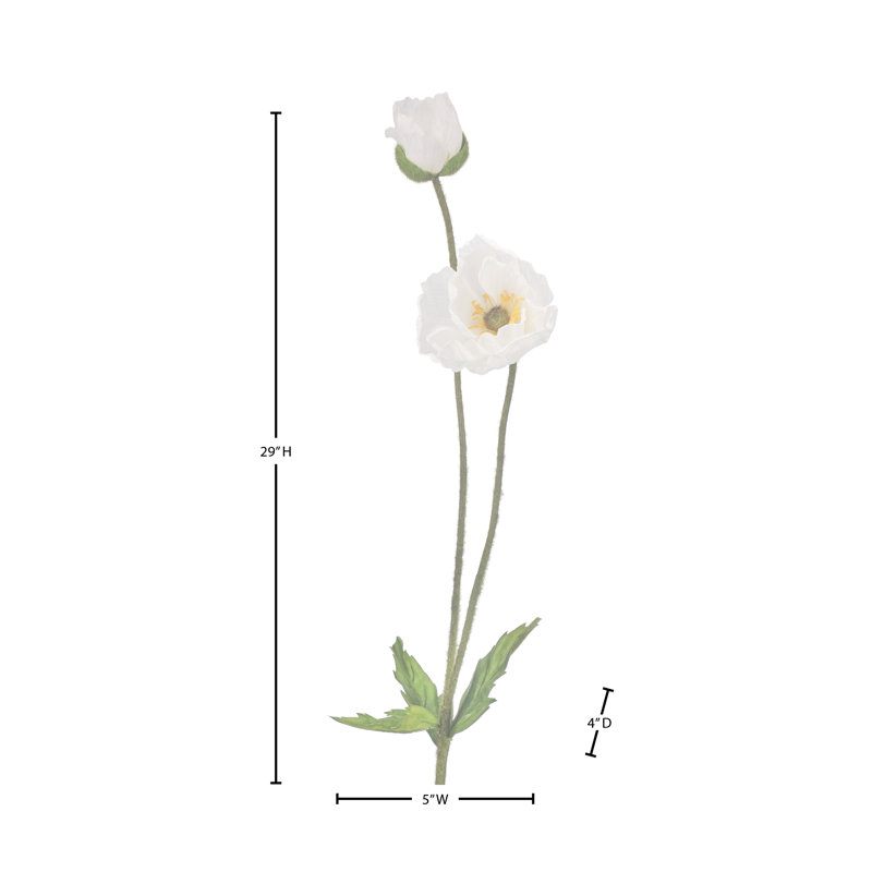 Coquelicot d'été + bourgeon 29 po , Blanc