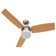 Dorne 108cm Ceiling Fan with LED Lights