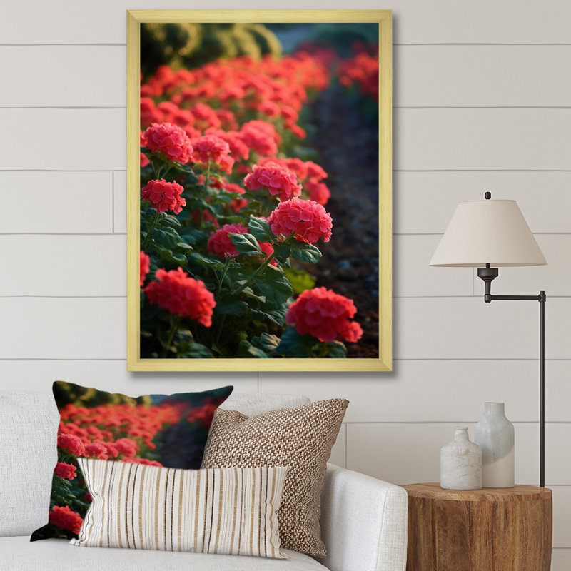 Photo Og Geraniums Field sur impression sur toile, H 32 po x l 16 po x P 1 po, Cadre doré simple