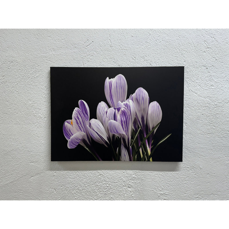 Printed Canvas Artwork: Elegant Botanical Decor in Purple Crocus Hues,1P Wrapped Canvas, H: 23.6 x W:35.4 inches