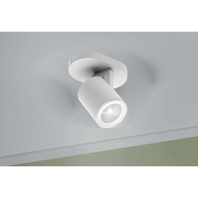 Regalado Spotlight, White