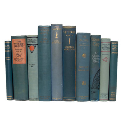 Decorative Books - Vintage Marlin Book Bundle - Blue Books by the Foot